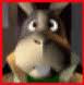 BUNJ
